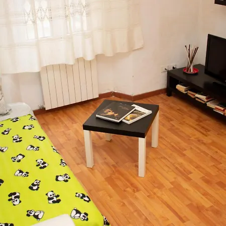 Apartment Studio Pisa